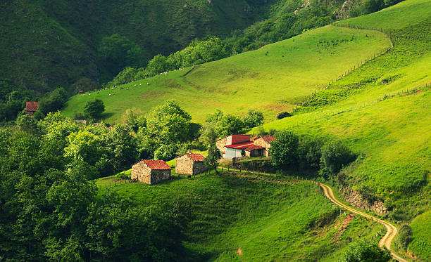 casas nas montanhas de astúrias - residential structure summer season valley - fotografias e filmes do acervo