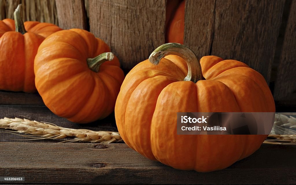 Pumpkins. At creation of this photo,I was inspired with beauty of the nature. Food Stock Photo