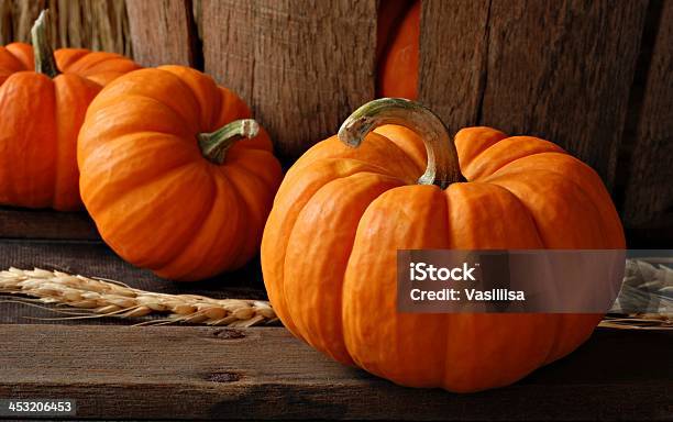 Pumpkins Stock Photo - Download Image Now - Food, Horizontal, No People