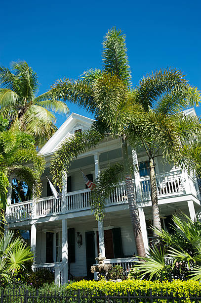 istock Traditional Southern Architecture Blue Sky Palm Trees 453206951