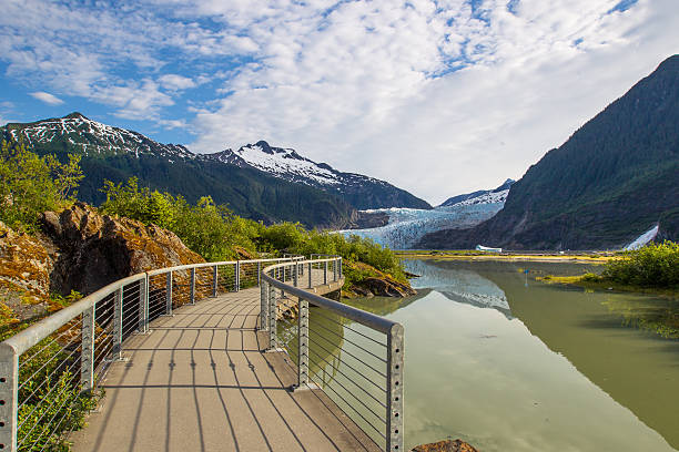 Wooden walkway near river going through Glacier Path  A morning view of the Mendenhall Glacier, in Juneau, Alaska. The elevated pathway leads to a beautiful view point. juneau stock pictures, royalty-free photos & images