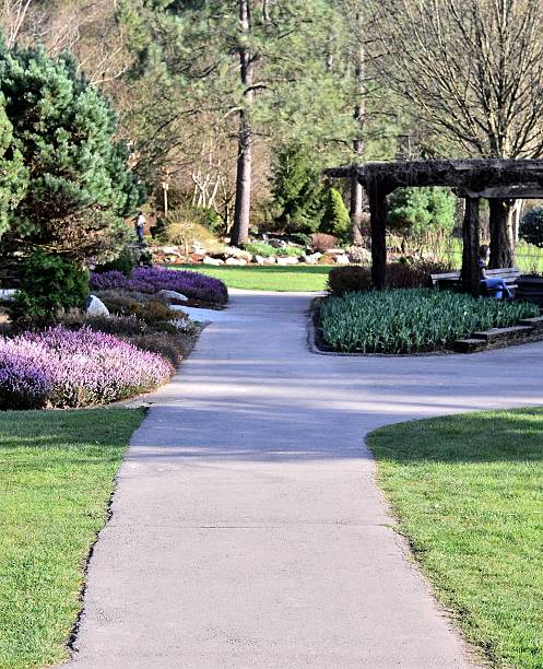 istock Relaxed walkway in the forest on sunny day 453210413