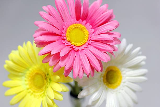 istock Flower, simulation of plant 453213709