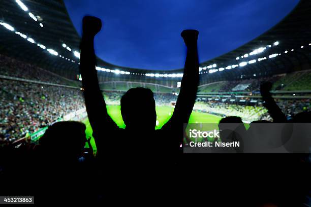 Silhouette Di Appassionati Di Sport Festeggia Allarena - Fotografie stock e altre immagini di Fan