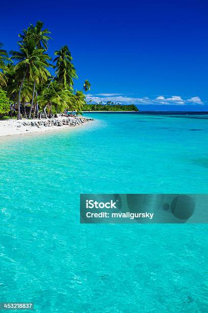 Tropical Island In Fiji With Sandy Beach Stock Photo - Download Image Now - Fiji, Island, Vertical