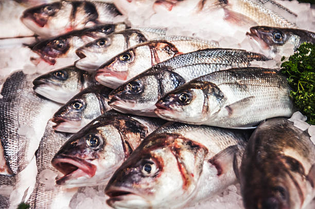 istock Sea Bass On Ice 453219705