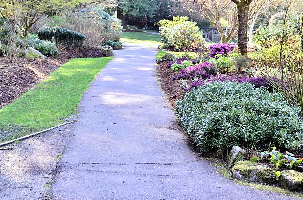 istock Relaxed walking path in the forest on sunny day 453220183