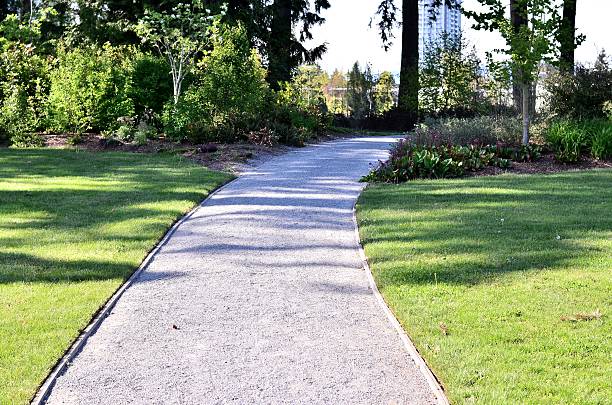 istock Relaxed walking path in the forest on sunny day 453220235