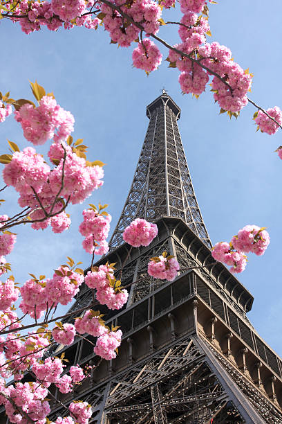 istock Eiffel Tower during spring time in  Paris, France 453220611