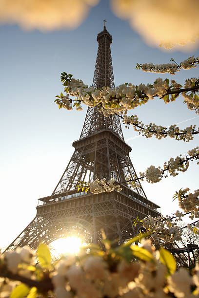 istock Eiffel Tower during spring time in  Paris, France 453221495