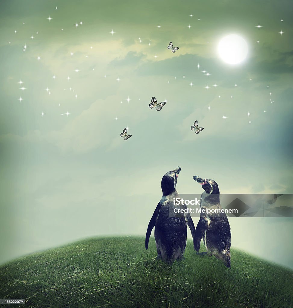 Penguin couple in fantasy landscape Two penguin friendship or love theme image at a fantasy landscape Animal Stock Photo