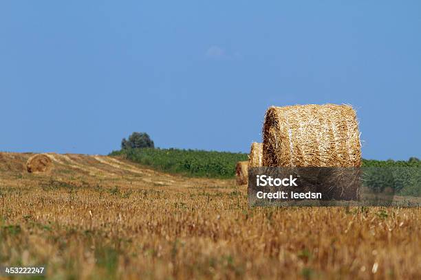 Heno Bales Foto de stock y más banco de imágenes de Agricultura - Agricultura, Aire libre, Aldea