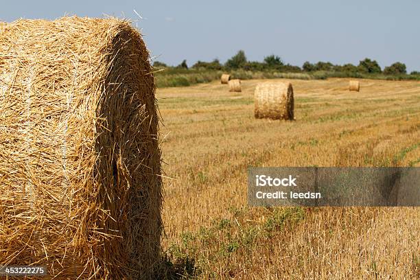 Feno Fardos - Fotografias de stock e mais imagens de Agricultura - Agricultura, Aldeia, Ao Ar Livre