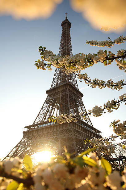 istock Eiffel Tower during spring time in  Paris, France 453227975