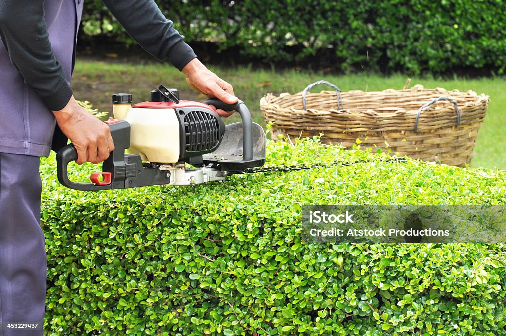 Gärtner Schneiden green bush mit enger machine - Lizenzfrei Reparieren Stock-Foto Gärtner Schneiden green bush mit enger machine - Lizenzfrei Reparieren Stock-Foto