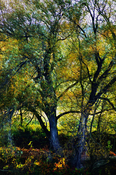 istock Artistic oil paint effect, Canadian forest, summer foliage 453230503