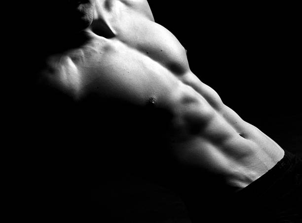 torse nu corps - abdominal muscle muscular build men torso photos et images de collection