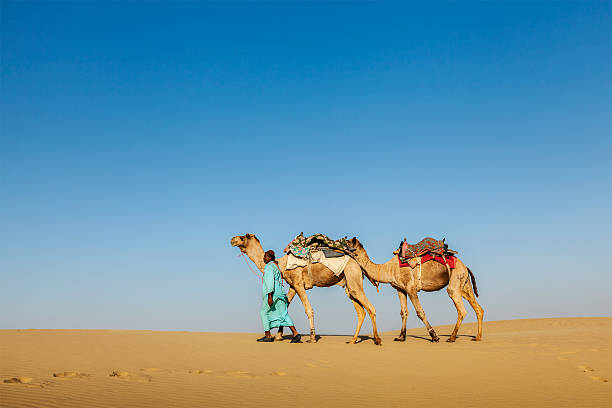 istock Cameleer (camel driver) with camels in Rajasthan, India 453232517