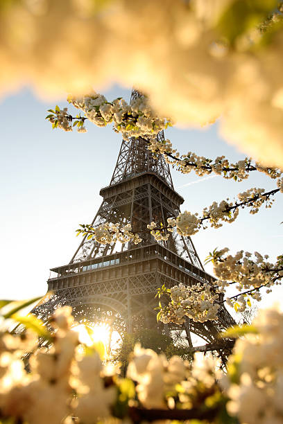 istock Eiffel Tower during spring time in  Paris, France 453236605