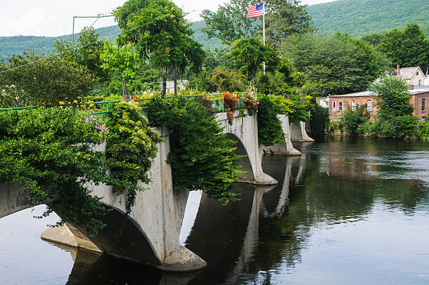 istock Bridge of Flowers 453243579