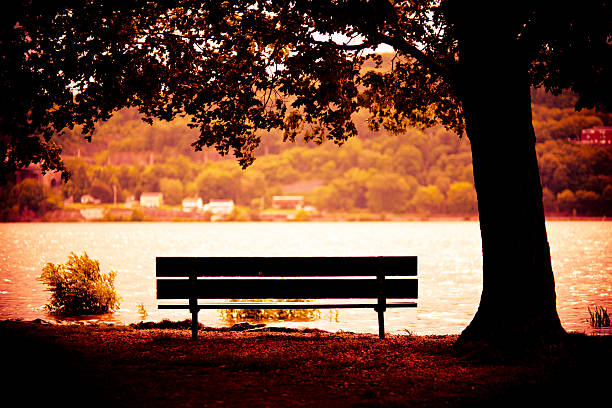 Bench with romantic view of river in golden light stock photo