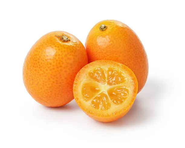 Photo of ripe kumquat fruits