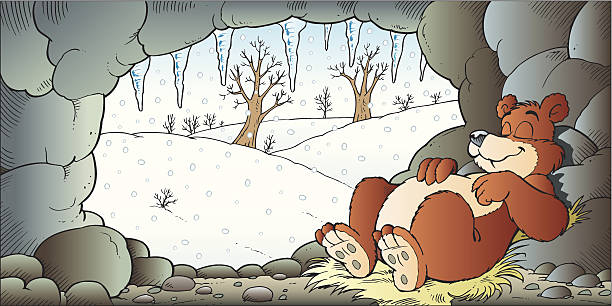 медведь - winter cave bear hibernation stock illustrations