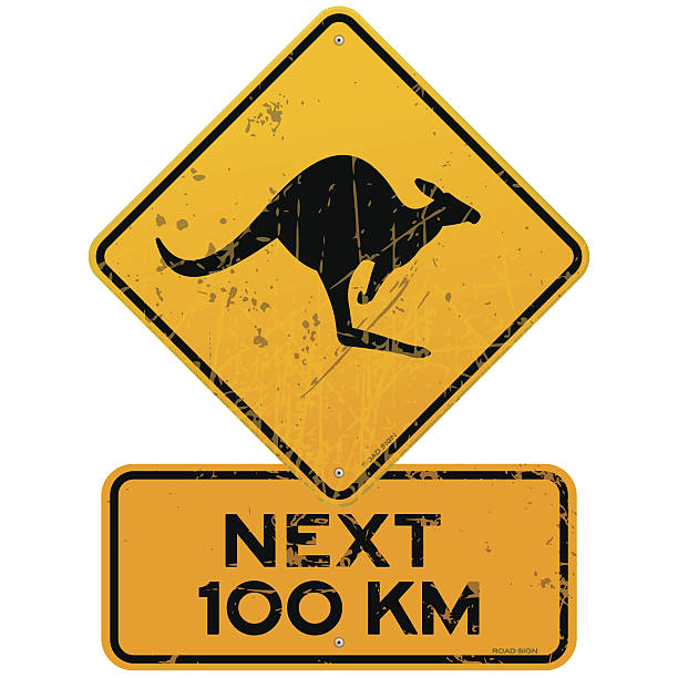 roadsign kangaroos następne 100 km - rough backgrounds close up color image stock illustrations