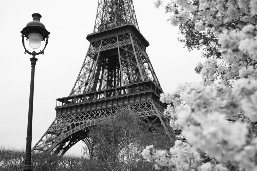 Famous Eiffel Tower during spring time in  Paris, France