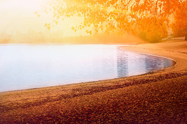 White poplars glow with yellow and green leaves as sunlight filters through. The Guadalquivir River reflects the warm light of the fading day.