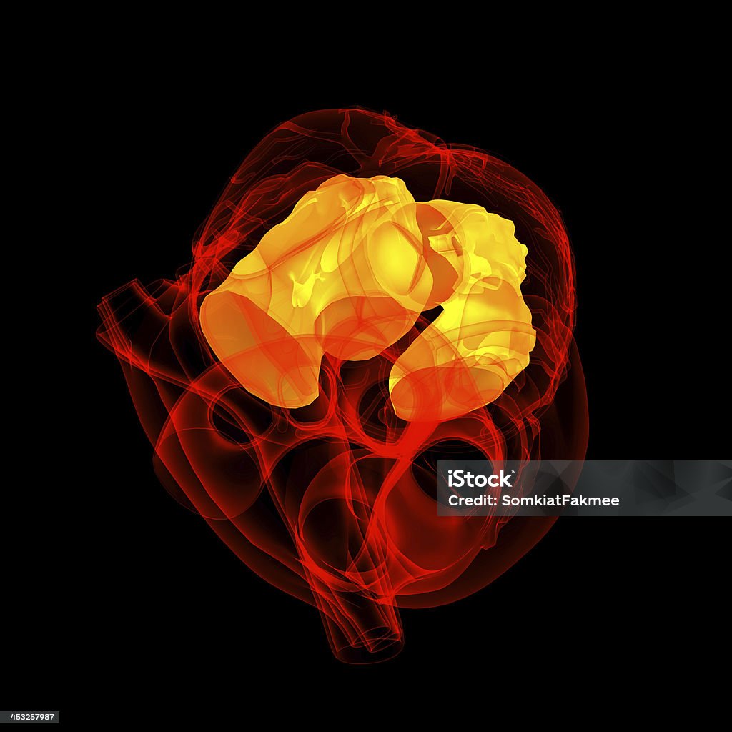 3d render Heart atrium 3d render Heart atrium - top view Anatomical Valve Stock Photo