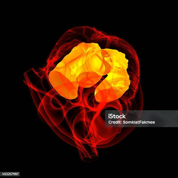 3d Render Heart Atrium Stock Photo - Download Image Now - Anatomical Valve, Failure, Aggression