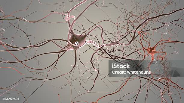 Neurone Cella - Fotografie stock e altre immagini di Axon - Axon, Biologia, Cellula