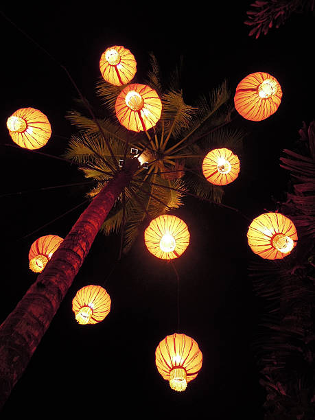 istock Lamps on a palm tree at Luang Prabang 453263725