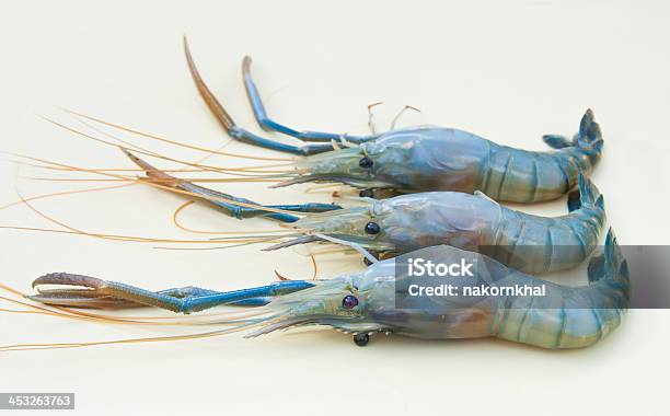 Raw Shrimps Stock Photo - Download Image Now - Close-up, Food, Freshness