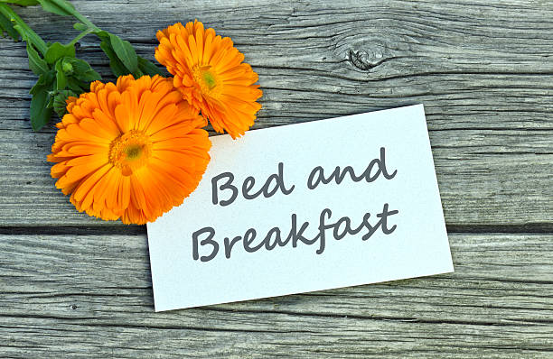 bed i śniadaniem - bed and breakfast bed green indoors zdjęcia i obrazy z banku zdjęć