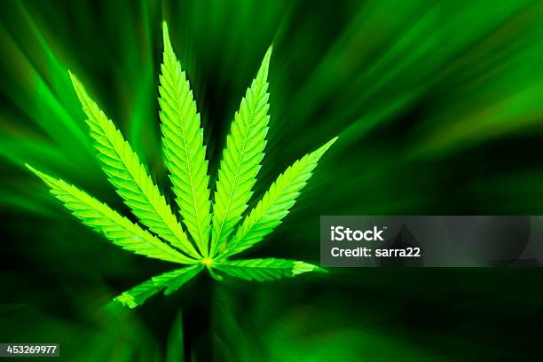 Marijuana Background Stock Photo - Download Image Now - Addiction, Cannabis Plant, Cannabis sativa