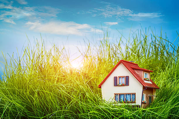istock House on the green grass 453270703
