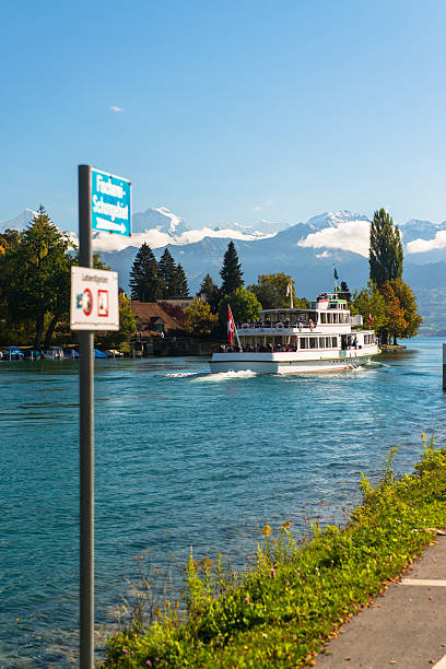 alpy i thun jezioro w pobliżu spiez miasto w szwajcarii, europa - jungfrau region zdjęcia i obrazy z banku zdjęć