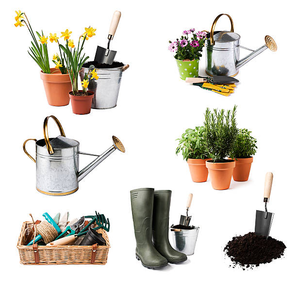 A selection of gardening tools and pots of plants Gardening tools and flowers isolated on white trowel shovel gardening equipment isolated stock pictures, royalty-free photos & images