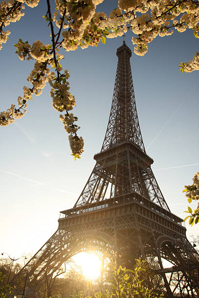istock Eiffel Tower during spring time in  Paris, France 453281477
