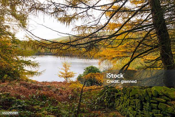 Autumn At Digley Reservoir Stock Photo - Download Image Now - Autumn, Blue, Bush