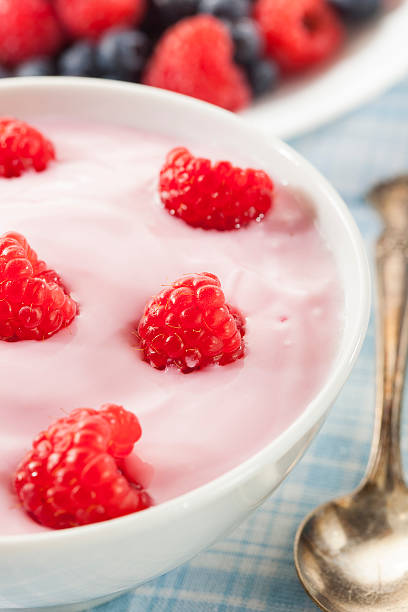 istock Fresh Organic Healthy Yogurt 453297795