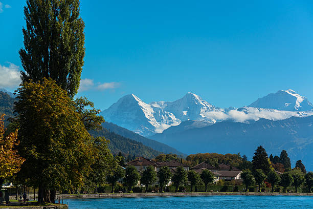 alpy i thun jezioro w pobliżu spiez miasto w szwajcarii, europa - jungfrau region zdjęcia i obrazy z banku zdjęć