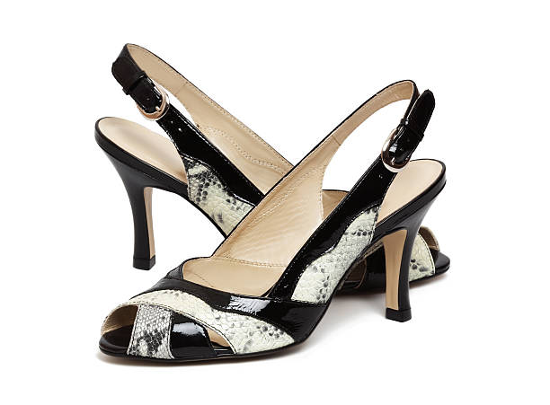 istock Elegance female shoes 453298777