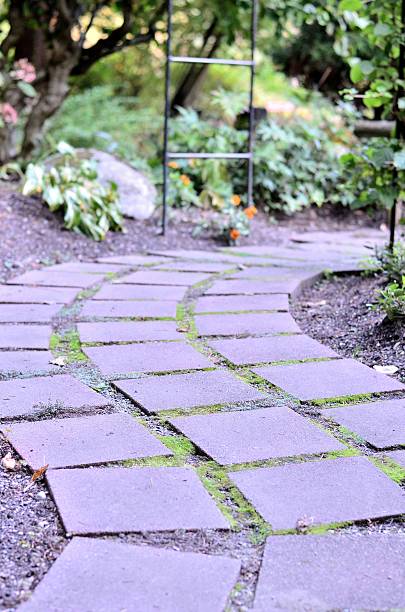 istock Beautiful walking path in the park 453299327