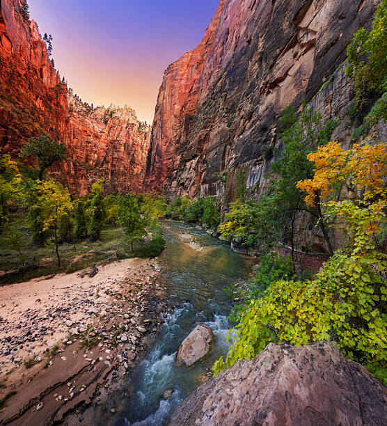Virgin River, Zion National Park Virgin River, Zion National Park, Utah. Panorama. zion river stock pictures, royalty-free photos & images