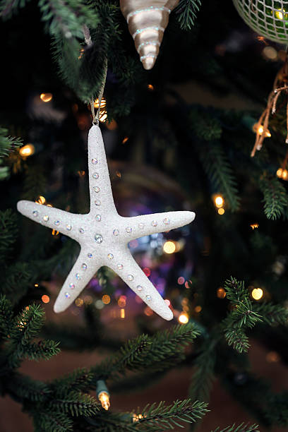 istock Starfish Christmas Bling on Tree with Lights 453304731