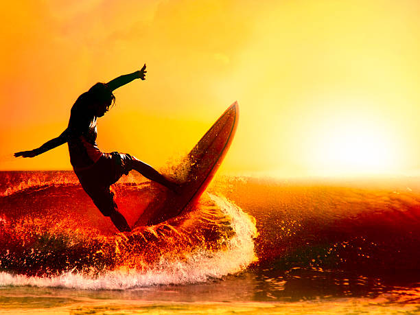 서핑 - skateboarding skateboard extreme sports sport 뉴스 사진 이미지