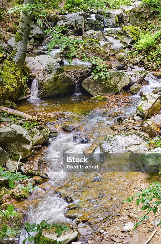 Herbst Wald stream von Ökologie Umwelt, Mazedonien - Lizenzfrei Bach Stock-Foto